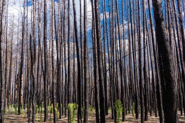 Donbass, Ukrayna, 13 Ağustos 2025 Donbass yolları büyük yıkımlarla ve özellikle 2022 'de Rusya' nın tam ölçekli işgalinden sonra kıyametsel bir manzarayla harabe haline geldi..