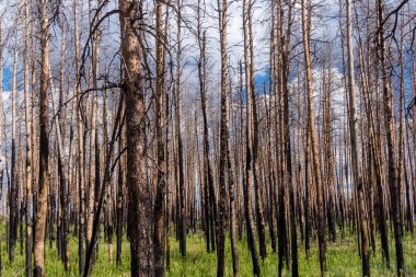 Donbass, Ukrayna, 13 Ağustos 2025 Donbass yolları büyük yıkımlarla ve özellikle 2022 'de Rusya' nın tam ölçekli işgalinden sonra kıyametsel bir manzarayla harabe haline geldi..