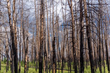 Donbass, Ukrayna, 13 Ağustos 2025 Donbass yolları büyük yıkımlarla ve özellikle 2022 'de Rusya' nın tam ölçekli işgalinden sonra kıyametsel bir manzarayla harabe haline geldi..