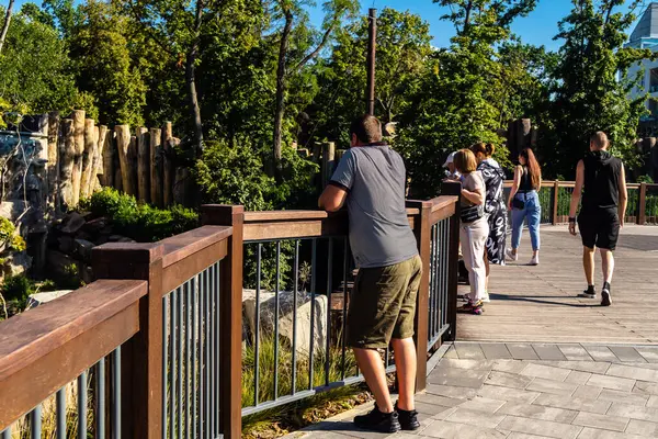 Kharkiv, Ukrayna, 29 Ağustos 2025 Kharkiv Hayvanat Bahçesi, 1895 'te kurulan bir hayvanat bahçesi. Savaşa ve Kharkiv şehrine saldırı riskine rağmen burası hala açık..