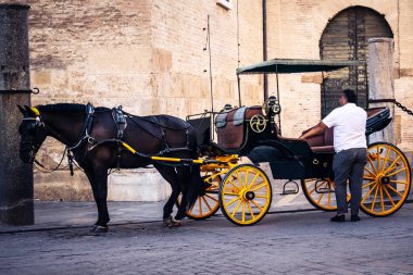 Seville, İspanya, 21 Eylül 2025. Atlı turistler Sevilla şehir merkezinin tarihi bölgesini ziyaret ediyor ve dar, pitoresk caddelerde yürüyor..