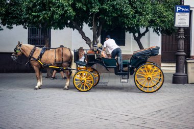Seville, İspanya, 21 Eylül 2025. Atlı turistler Sevilla şehir merkezinin tarihi bölgesini ziyaret ediyor ve dar, pitoresk caddelerde yürüyor..