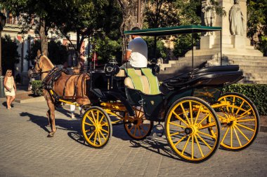 Seville, İspanya, 21 Eylül 2025. Atlı turistler Sevilla şehir merkezinin tarihi bölgesini ziyaret ediyor ve dar, pitoresk caddelerde yürüyor..