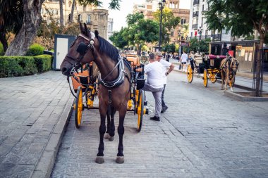 Seville, İspanya, 21 Eylül 2025. Atlı turistler Sevilla şehir merkezinin tarihi bölgesini ziyaret ediyor ve dar, pitoresk caddelerde yürüyor..