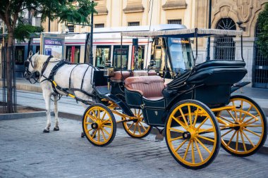 Seville, İspanya, 21 Eylül 2025. Atlı turistler Sevilla şehir merkezinin tarihi bölgesini ziyaret ediyor ve dar, pitoresk caddelerde yürüyor..