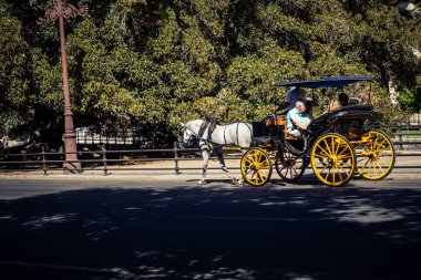 Seville, İspanya, 21 Eylül 2025. Atlı turistler Sevilla şehir merkezinin tarihi bölgesini ziyaret ediyor ve dar, pitoresk caddelerde yürüyor..