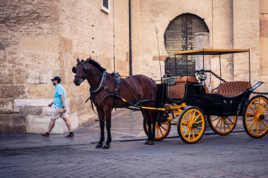 Seville, İspanya, 21 Eylül 2025. Atlı turistler Sevilla şehir merkezinin tarihi bölgesini ziyaret ediyor ve dar, pitoresk caddelerde yürüyor..