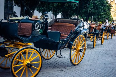 Seville, İspanya, 21 Eylül 2025. Atlı turistler Sevilla şehir merkezinin tarihi bölgesini ziyaret ediyor ve dar, pitoresk caddelerde yürüyor..