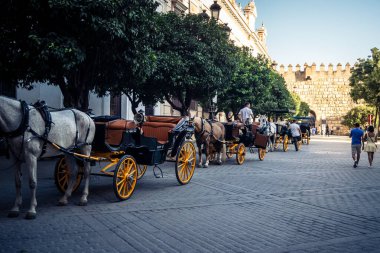Seville, İspanya, 21 Eylül 2025. Atlı turistler Sevilla şehir merkezinin tarihi bölgesini ziyaret ediyor ve dar, pitoresk caddelerde yürüyor..
