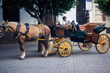 Seville, İspanya, 21 Eylül 2025. Atlı turistler Sevilla şehir merkezinin tarihi bölgesini ziyaret ediyor ve dar, pitoresk caddelerde yürüyor..