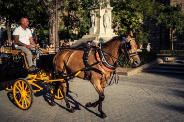 Seville, İspanya, 21 Eylül 2025. Atlı turistler Sevilla şehir merkezinin tarihi bölgesini ziyaret ediyor ve dar, pitoresk caddelerde yürüyor..