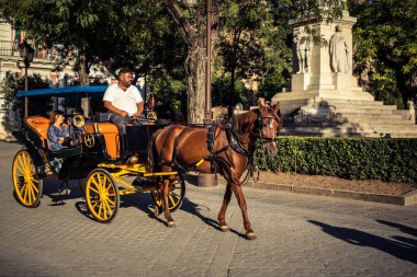 Seville, İspanya, 21 Eylül 2025. Atlı turistler Sevilla şehir merkezinin tarihi bölgesini ziyaret ediyor ve dar, pitoresk caddelerde yürüyor..
