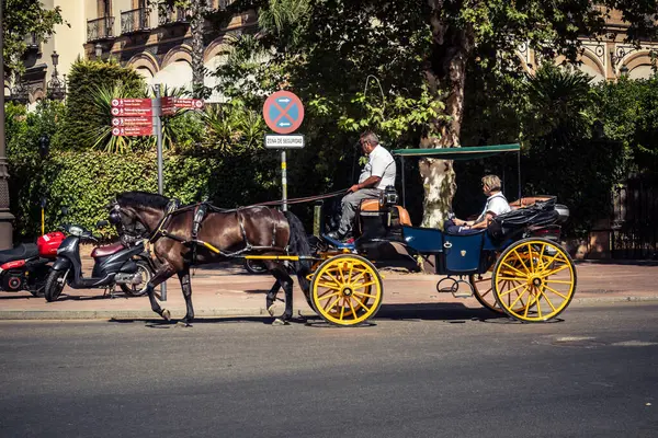 Seville, İspanya, 21 Eylül 2025. Atlı turistler Sevilla şehir merkezinin tarihi bölgesini ziyaret ediyor ve dar, pitoresk caddelerde yürüyor..