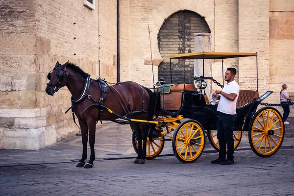 Seville, İspanya, 21 Eylül 2025. Atlı turistler Sevilla şehir merkezinin tarihi bölgesini ziyaret ediyor ve dar, pitoresk caddelerde yürüyor..
