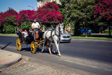 Seville, İspanya, 21 Eylül 2025. Atlı turistler Sevilla şehir merkezinin tarihi bölgesini ziyaret ediyor ve dar, pitoresk caddelerde yürüyor..