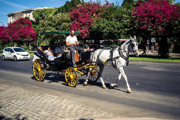Seville, İspanya, 21 Eylül 2025. Atlı turistler Sevilla şehir merkezinin tarihi bölgesini ziyaret ediyor ve dar, pitoresk caddelerde yürüyor..