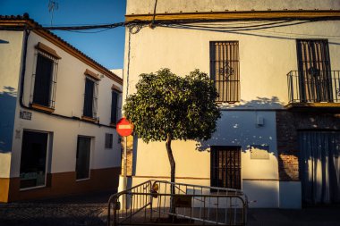 Carmona, İspanya, 28 Eylül 2025 Sokaklar ve Carmona şehir merkezindeki tarihi bölgedeki binaların cepheleri.