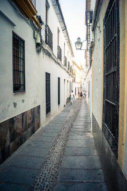 Cordoba, Spain, October 2, 2025 Streets and cityscape of the historic district in downtown Cordoba. It was founded in 1613 by the Jesuit Order. Because of this, Cordoba earned the nickname La Docta.
