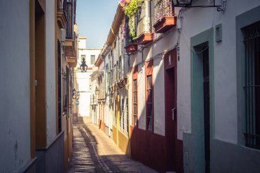 Cordoba, Spain, October 2, 2025 Streets and cityscape of the historic district in downtown Cordoba. It was founded in 1613 by the Jesuit Order. Because of this, Cordoba earned the nickname La Docta.