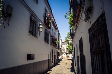 Cordoba, Spain, October 2, 2025 Streets and cityscape of the historic district in downtown Cordoba. It was founded in 1613 by the Jesuit Order. Because of this, Cordoba earned the nickname La Docta.