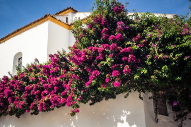 Cordoba, Spain, October 2, 2025 Streets and cityscape of the historic district in downtown Cordoba. It was founded in 1613 by the Jesuit Order. Because of this, Cordoba earned the nickname La Docta.