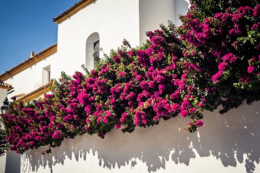 Cordoba, Spain, October 2, 2025 Streets and cityscape of the historic district in downtown Cordoba. It was founded in 1613 by the Jesuit Order. Because of this, Cordoba earned the nickname La Docta.