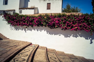 Cordoba, Spain, October 2, 2025 Streets and cityscape of the historic district in downtown Cordoba. It was founded in 1613 by the Jesuit Order. Because of this, Cordoba earned the nickname La Docta.