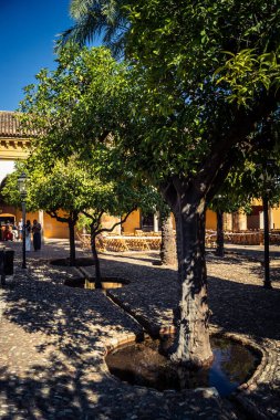 Cordoba, İspanya, 2 Ekim 2025. Cordoba Camii Katedrali. Resmi adı 