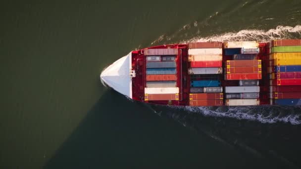 Aerial Top View Cargo Ship Carrying Container Carry Containers Ports — Stock Video