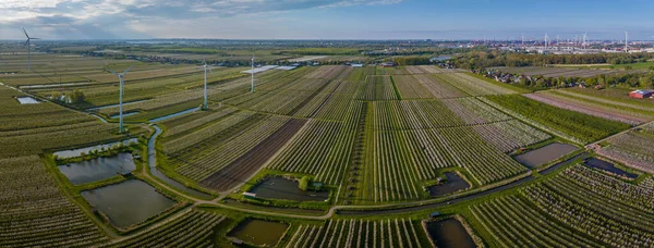 Panorama View Fruit Growing Area Wind Turbines Landscape Wind Turbines — Stock Photo, Image