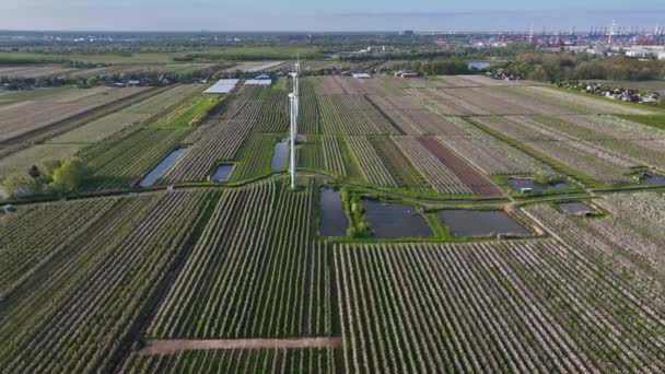 Vuelo Aéreo Sobre Área Cultivo Frutas Con Turbinas Eólicas Paisaje — Vídeo de stock