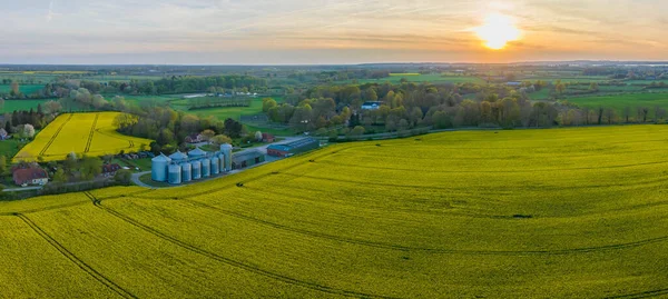 Landscape Yellow Rapeseed Field Agricultural Silo Manor House Background Panorama — Stock Photo, Image