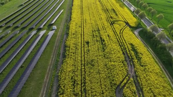 开放空间上的光电的空中摄像 沿着公路的太阳能公园和黄色的菜籽田 可再生能源 替代能源 — 图库视频影像