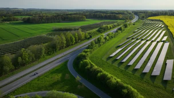 Filmagem Aérea Energia Fotovoltaica Espaços Abertos Com Ovelhas Pastando Parque — Vídeo de Stock