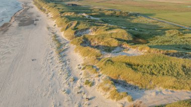 Danimarka 'nın manzaralı kıyı şeridi kum tepeleri, 2. Dünya Savaşı sığınakları ve Kuzey Denizi' nin Danimarka çiftlikleri ve kumulların arkasında otlayan hayvanlar olduğunu gösteriyor. Kum tepecikleriyle kaplı kıyı şeridi..