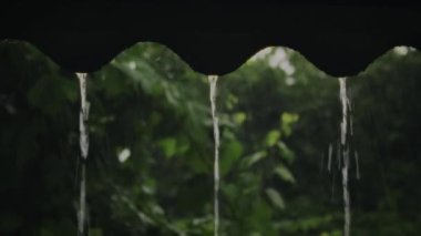 Gündüz vakti çatıdan yağmur damlıyor. Yağmur devam ediyor. Yüksek kaliteli FullHD görüntüler