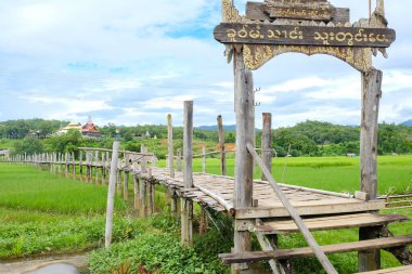 Su Tong Pae Bambu Köprüsü, Tayland 'ın en uzun bambu köprüsü..