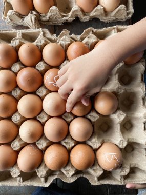 Erkek eli ve markette bir grup yumurta.