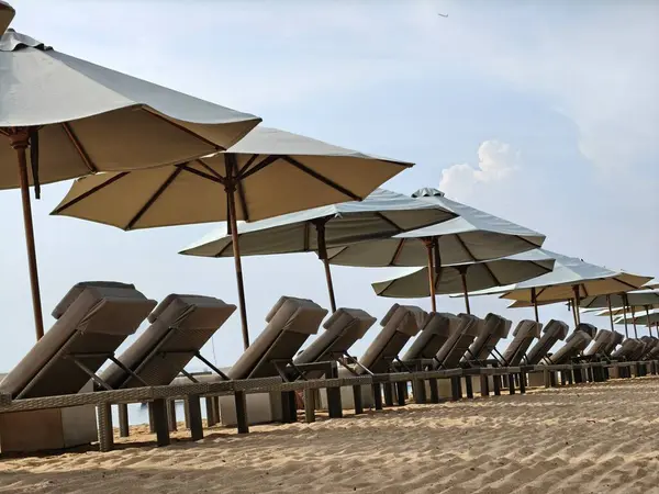 Bali, Endonezya 'da tropikal palmiyeler altında güneşli yataklar