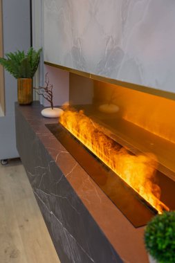 Modern stüdyo dairesinin içinde, ahşap elementli yeşil pastel renklerde lüks bir ev. Pahalı mobilyalar ve dekorasyonlar. Şöminenin yanındaki rahat oturma odası.