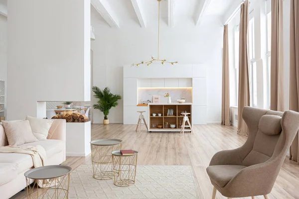 Interieur Ontwerp Ruime Lichte Studio Appartement Scandinavische Stijl Warme Pastel — Stockfoto