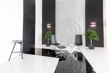 İlginç moda siyah mobilyalar ve dekore edilmiş duvarlar ile siyah ve beyaz renklere zıt düşerek modern modaya uygun modern iç mekan.