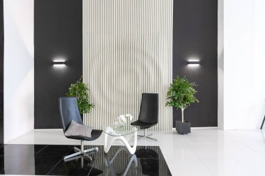 İlginç moda siyah mobilyalar ve dekore edilmiş duvarlar ile siyah ve beyaz renklere zıt düşerek modern modaya uygun modern iç mekan.