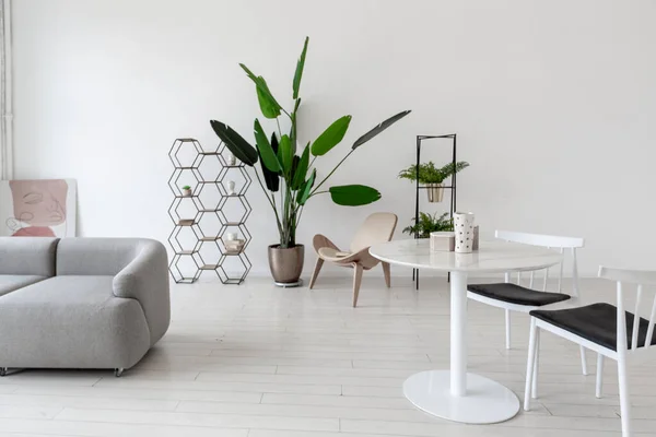 清潔な白い壁を持つ明るい部屋のシンプルなミニマリスト現代的なインテリアデザイン — ストック写真