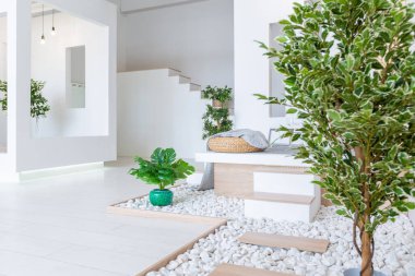 Lüks moda modern tasarım stüdyo dairesi. Bedava tasarımı çok az. Beyaz duvarları ve ahşap elementleri olan çok parlak geniş bir oda..