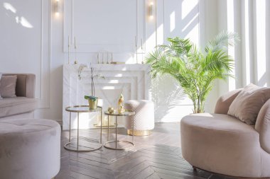 Şık, yumuşak bej mobilyalı, altın metalik elementli, yere açılan kocaman pencereli ve ahşap parke kaplı lüks ve parlak bir oturma odası.