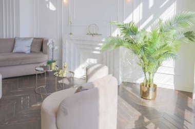 Şık, yumuşak bej mobilyalı, altın metalik elementli, yere açılan kocaman pencereli ve ahşap parke kaplı lüks ve parlak bir oturma odası.