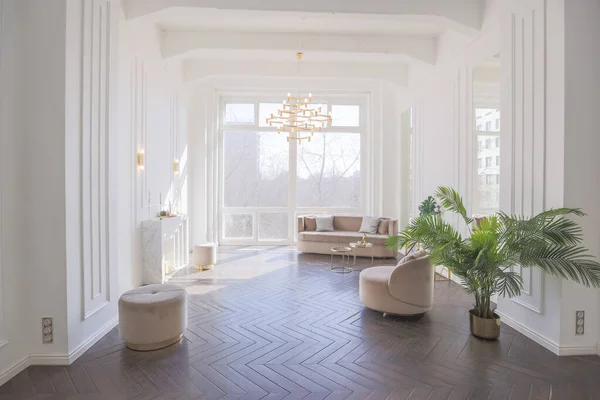 Velmi Světlý Světlý Interiér Luxusního Útulného Obývacího Pokoje Elegantním Měkkým — Stock fotografie