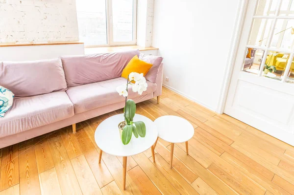 Muy Luminoso Espacioso Apartamento Dos Habitaciones Estilo Escandinavo Con Muebles — Foto de Stock