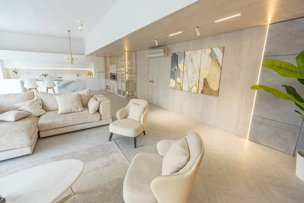 Moderno Diseño Interior Moderno Gran Estudio Colores Blanco Beige Con — Foto de Stock